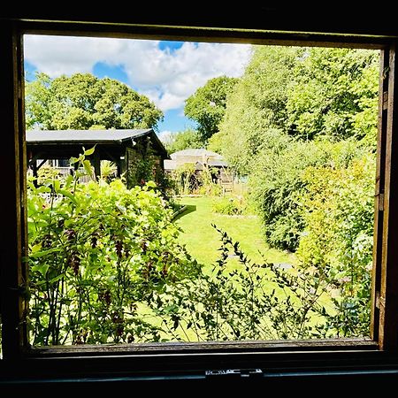 Lytchett MatraversHideaway公寓 外观 照片